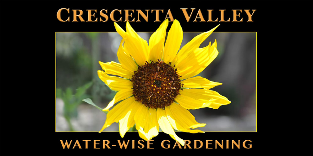 crescenta-valley-water-wise-gardening
